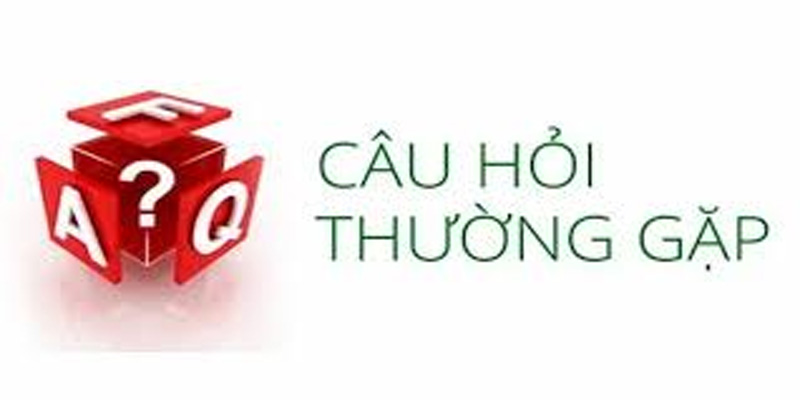 Câu Hỏi Thường Gặp Về EE88