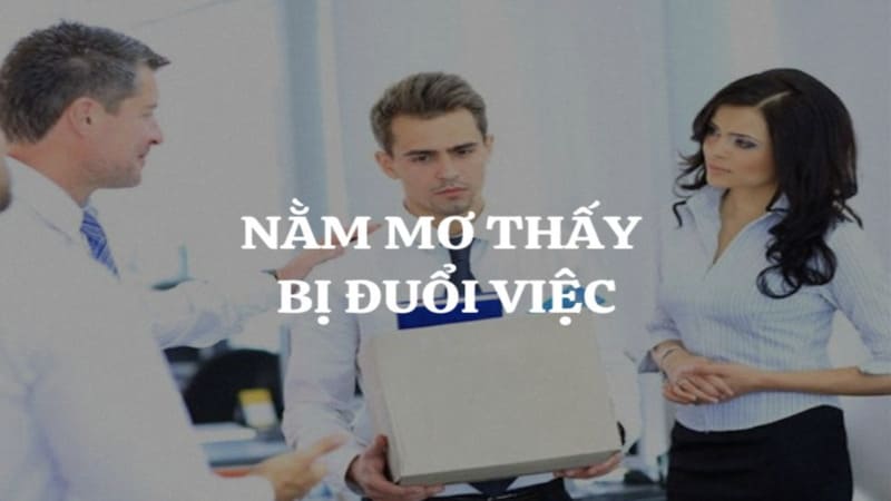 Giải mã ý nghĩa tâm lý khi mơ bị đuổi việc