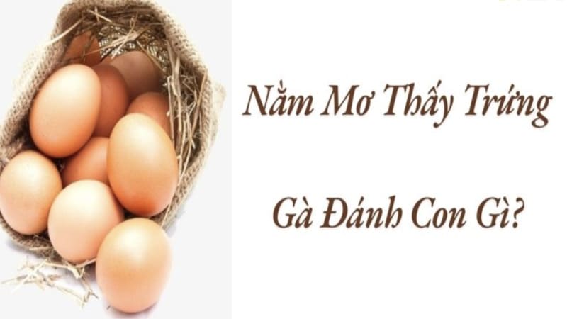 Bí kíp soi cầu khi nằm mơ thấy trứng gà hiệu quả