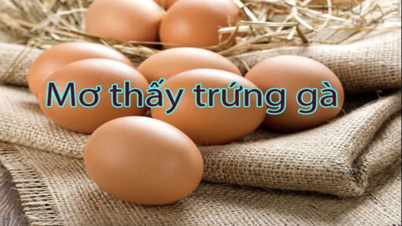 Giải mã ý nghĩa tâm linh khi nằm mơ thấy trứng gà