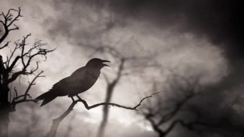 Tại sao bạn nên tra cứu giải mã giấc mơ tại EE88?