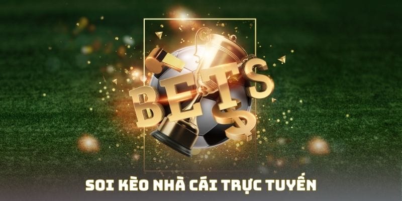 Lý do bạn dễ chọn sai kèo nhà cái dù phân tích đúng trận đấu